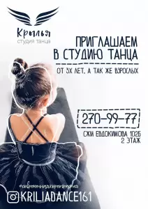 Фотография Крылья 2